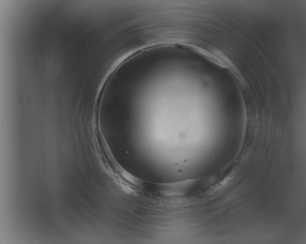 X0000067910956200604201401