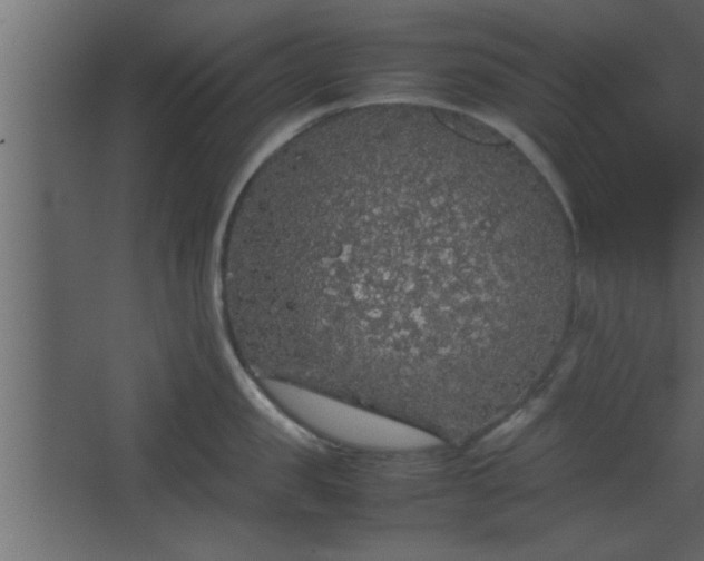 X0000067910957200604201401