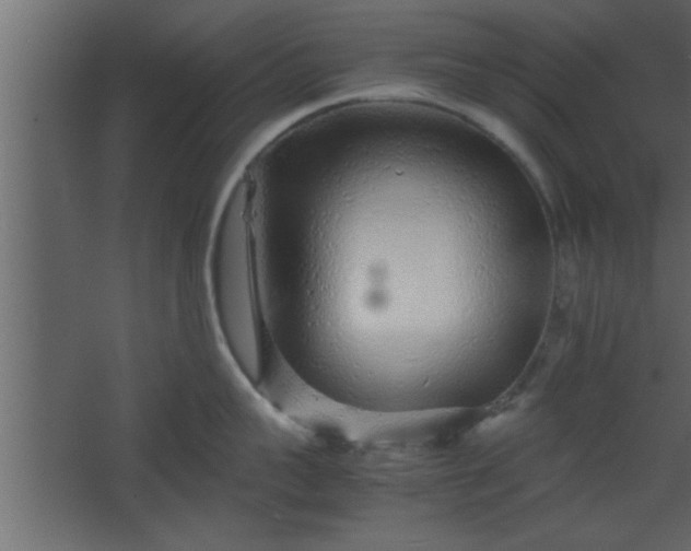 X0000067910959200604201401