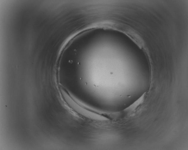 X0000067910960200604201401