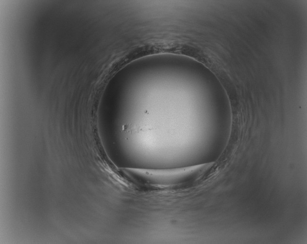 X0000067910961200604201400