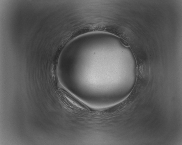 X0000067910963200604201400