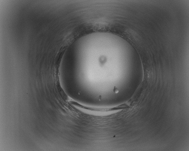 X0000067910964200604201400