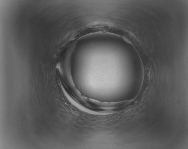 X0000067910965200604201400