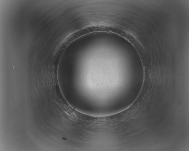 X0000067910968200604201400