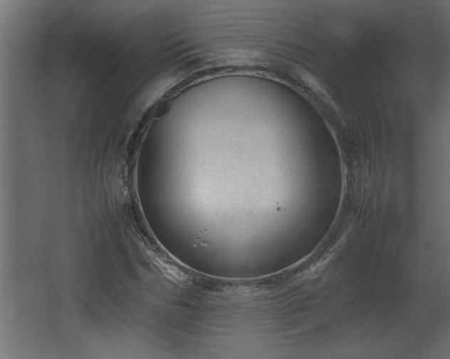 X0000067910970200604201400