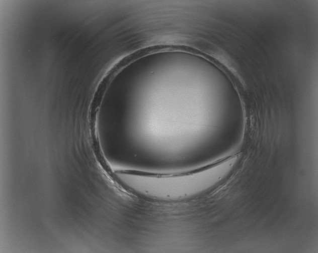 X0000067910972200604201400