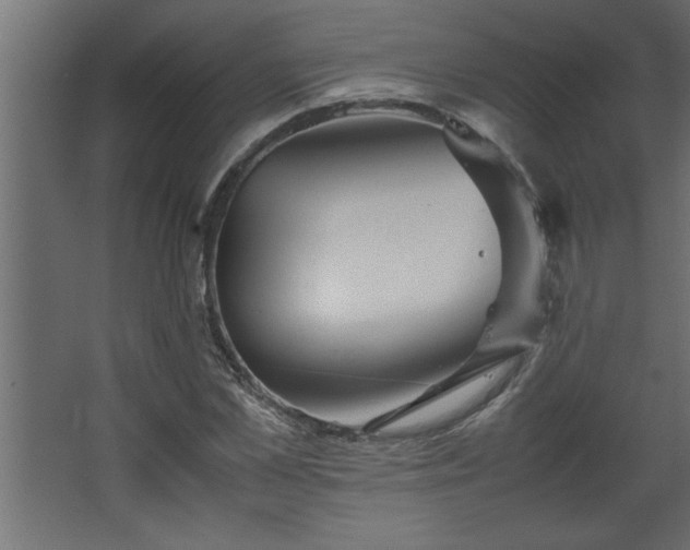 X0000067910973200604201400