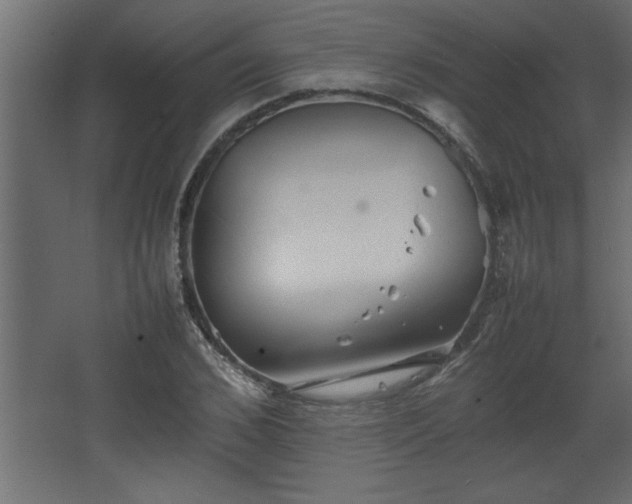 X0000067910976200604201400