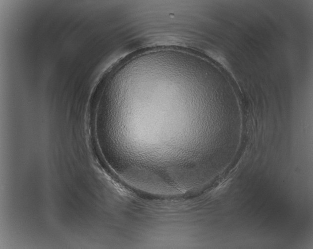 X0000067910979200604201400