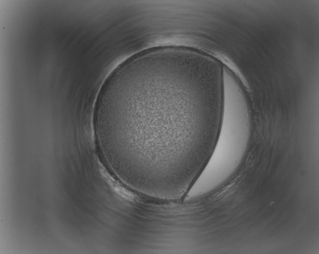 X0000067910980200604201400