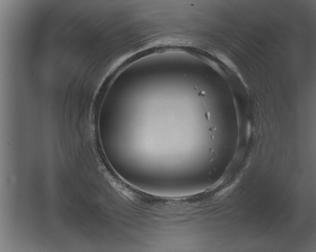 X0000067910981200604201400