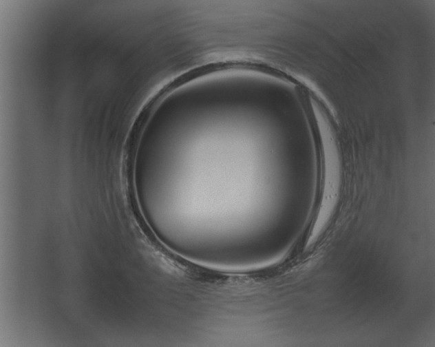 X0000067910983200604201400