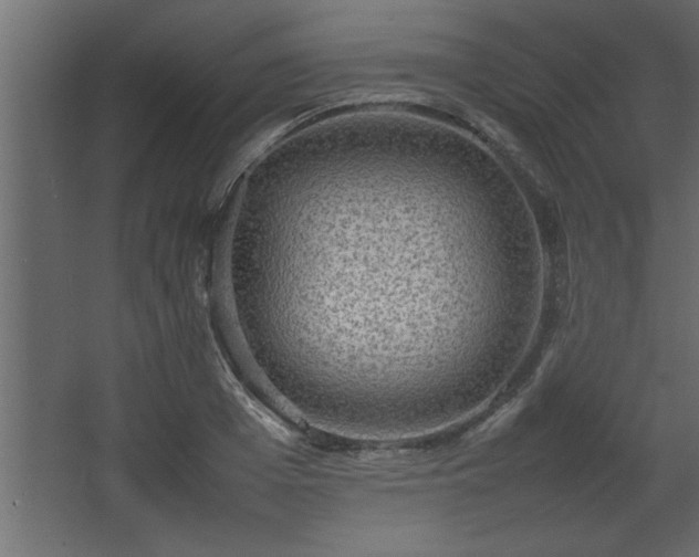 X0000067910985200604201400