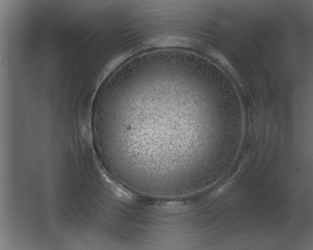 X0000067910986200604201400