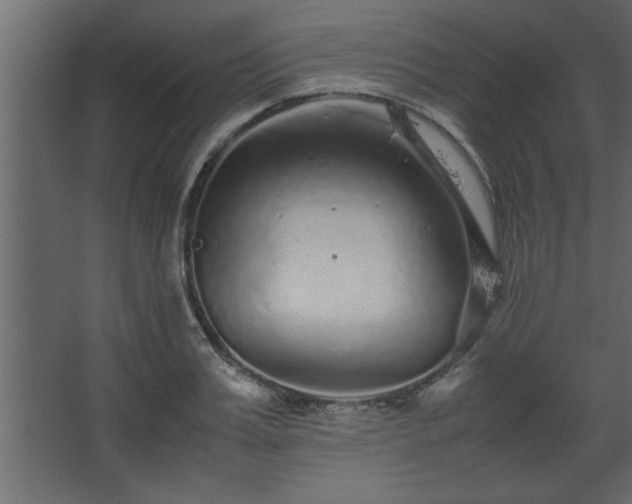 X0000067910987200604201400