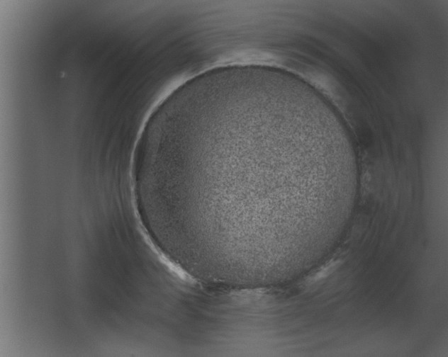 X0000067910990200604201400