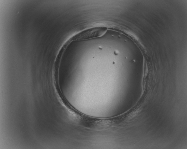 X0000067910991200604201400