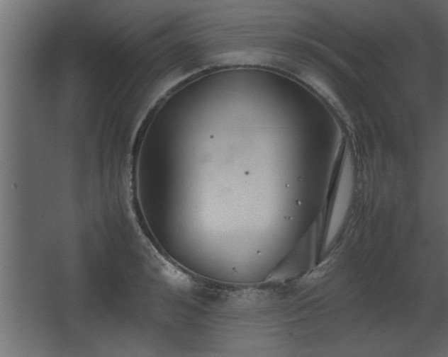 X0000067910992200604201400