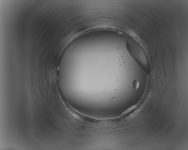 X0000067910993200604201400