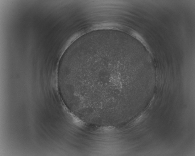 X0000067910994200604201400