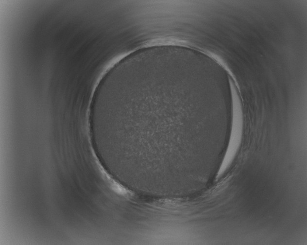 X0000067910995200604201400