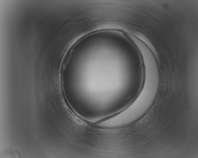 X0000067910996200604201400