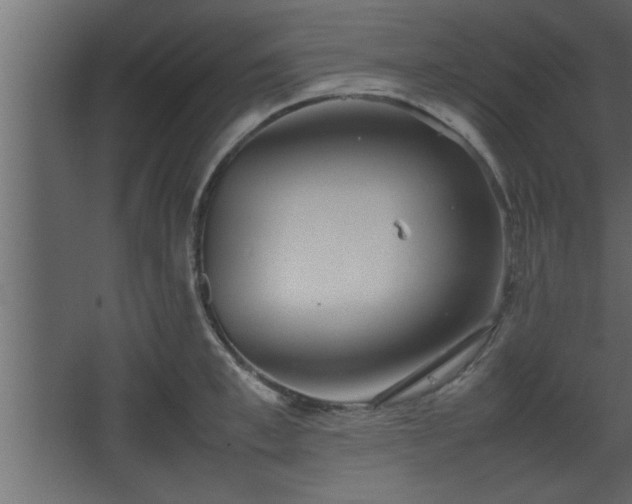 X0000067910997200604201359