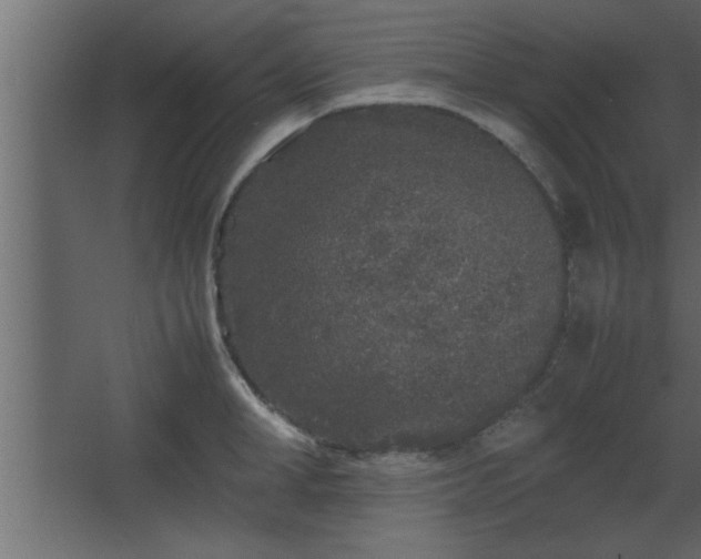 X0000067910998200604201359