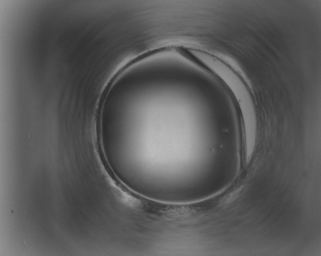 X0000067910999200604201359