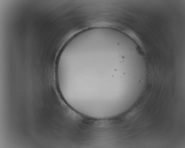 X0000067911000200604201359