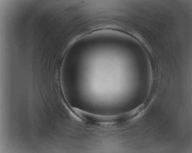 X0000067911001200604201359