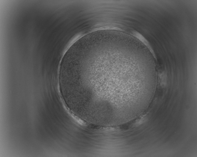 X0000067911002200604201359