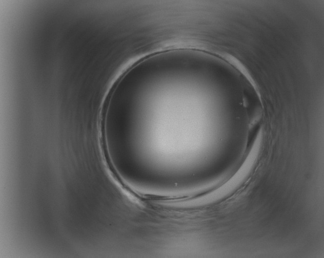 X0000067911005200604201359