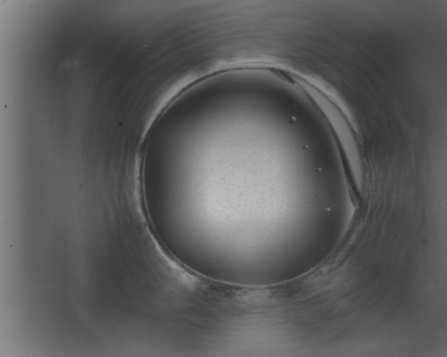 X0000067911006200604201359