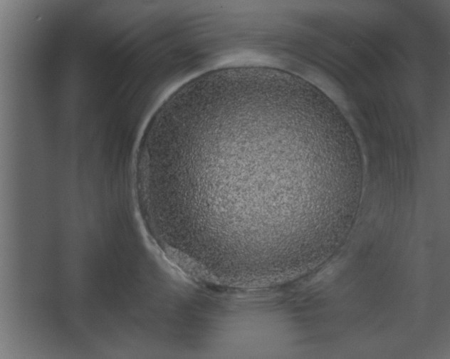 X0000067911008200604201359