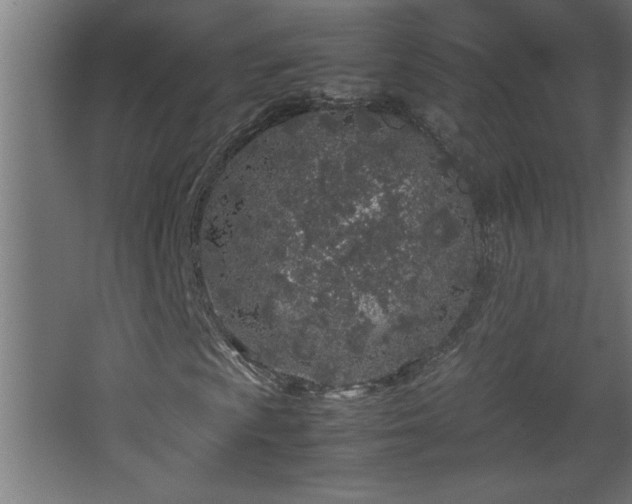 X0000067911009200604201358