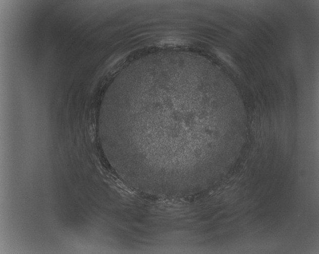 X0000067911015200604201359