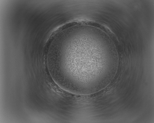 X0000067911016200604201359