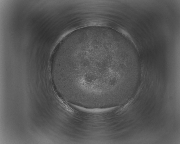 X0000067911019200604201359