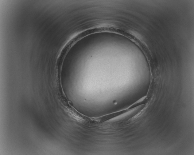 X0000067911021200604201359