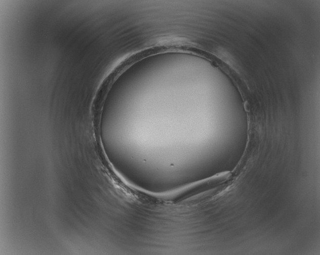 X0000067911022200604201359