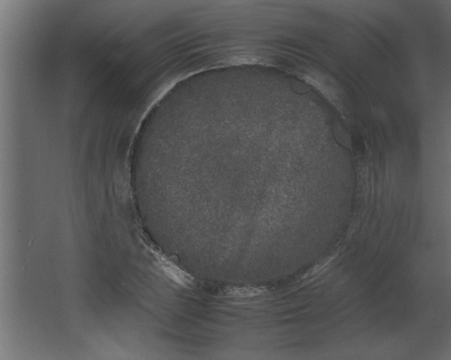 X0000067911023200604201359