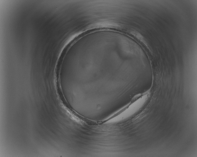 X0000067911024200604201359