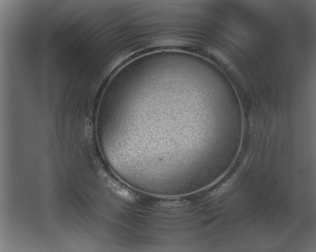 X0000067911025200604201359