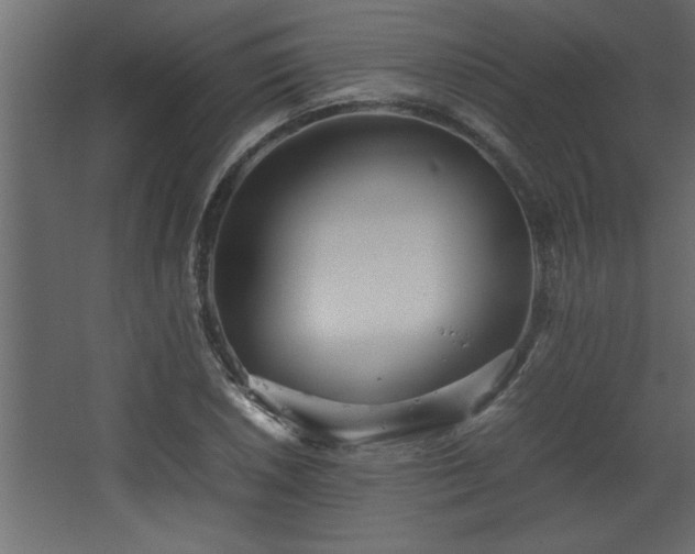 X0000067911026200604201359