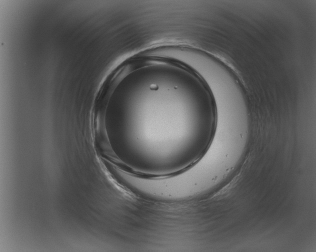 X0000067911030200604201359