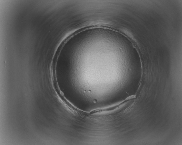 X0000067911032200604201359