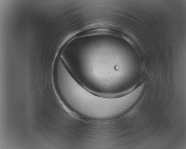 X0000067911034200604201359