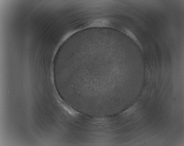 X0000067911035200604201359